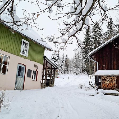 Ferienwohnung Im Wald, Fuer Naturfreunde เคลาส์ทาล-เซลเลอร์เฟลด์ ภายนอก รูปภาพ