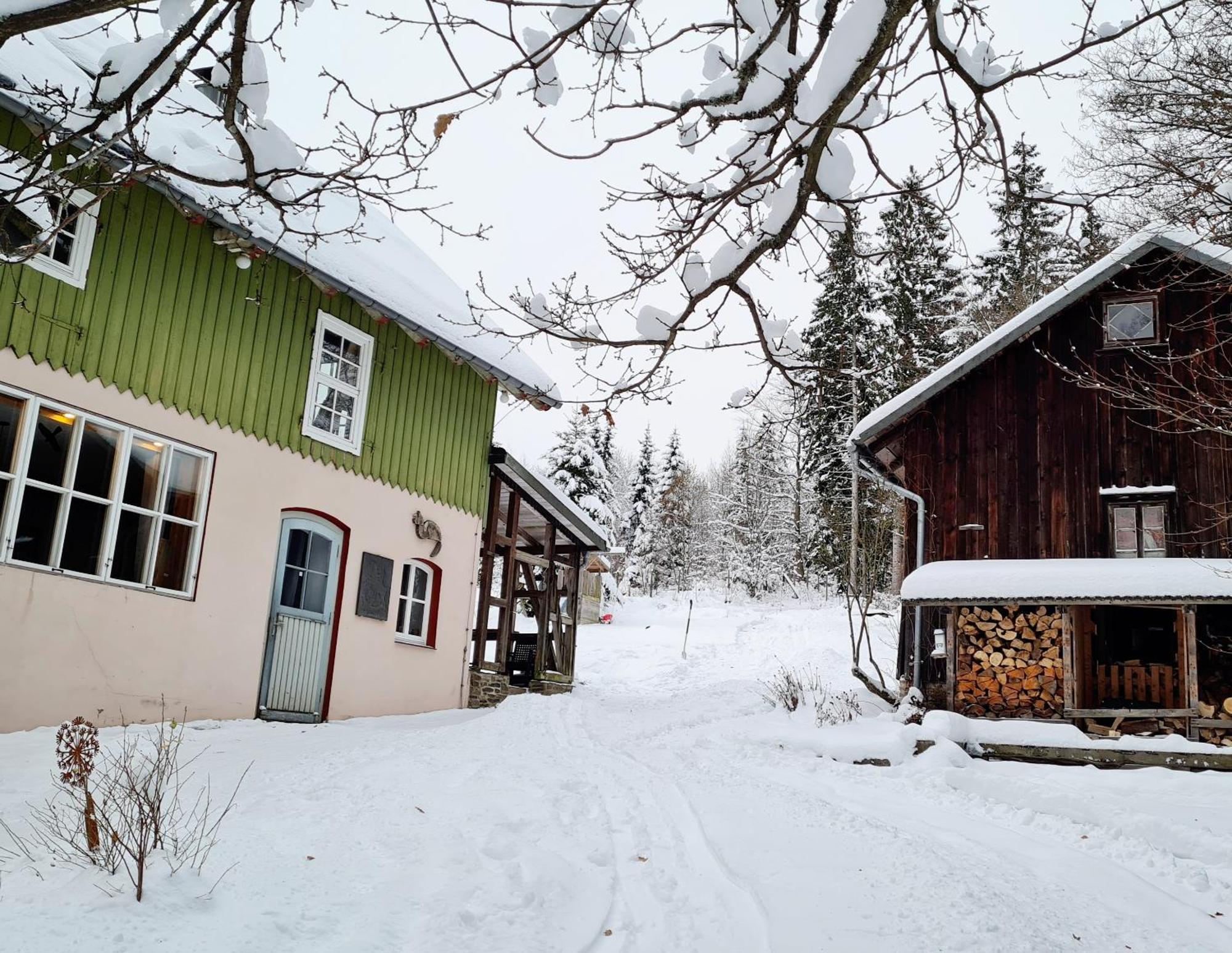 Ferienwohnung Im Wald, Fuer Naturfreunde เคลาส์ทาล-เซลเลอร์เฟลด์ ภายนอก รูปภาพ